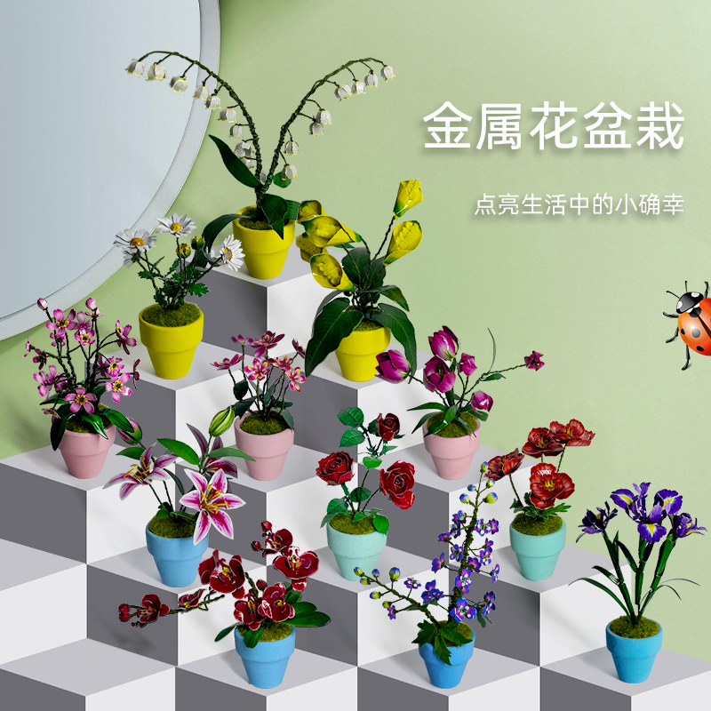 K21110蝴蝶兰盆栽